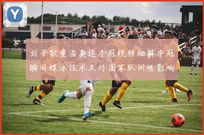 刘子歌重温奥运夺冠视频细解夺冠瞬间蝶泳技术及对国家队训练影响