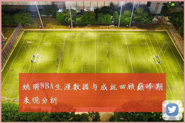 姚明NBA生涯数据与成就回顾巅峰期表现分析