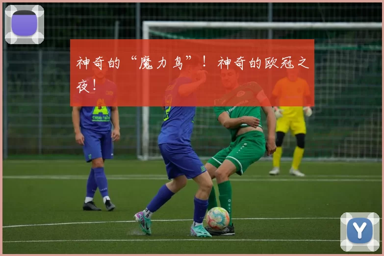 神奇的“魔力鸟”！神奇的欧冠之夜！