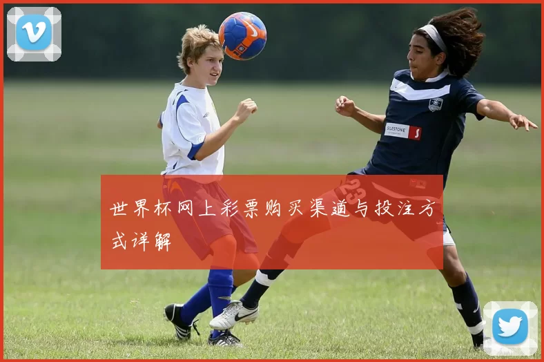 世界杯网上彩票购买渠道与投注方式详解