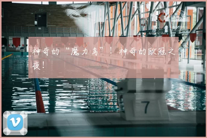 神奇的“魔力鸟”！神奇的欧冠之夜！