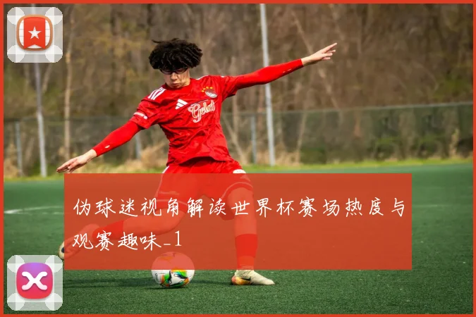 伪球迷视角解读世界杯赛场热度与观赛趣味_1