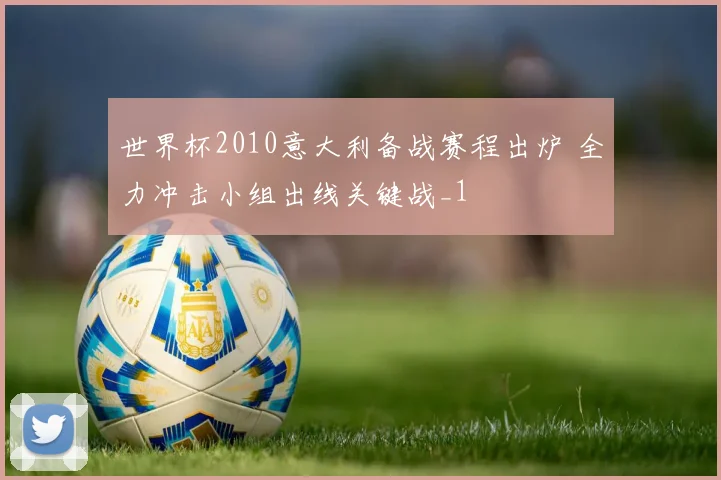 世界杯2010意大利备战赛程出炉 全力冲击小组出线关键战_1